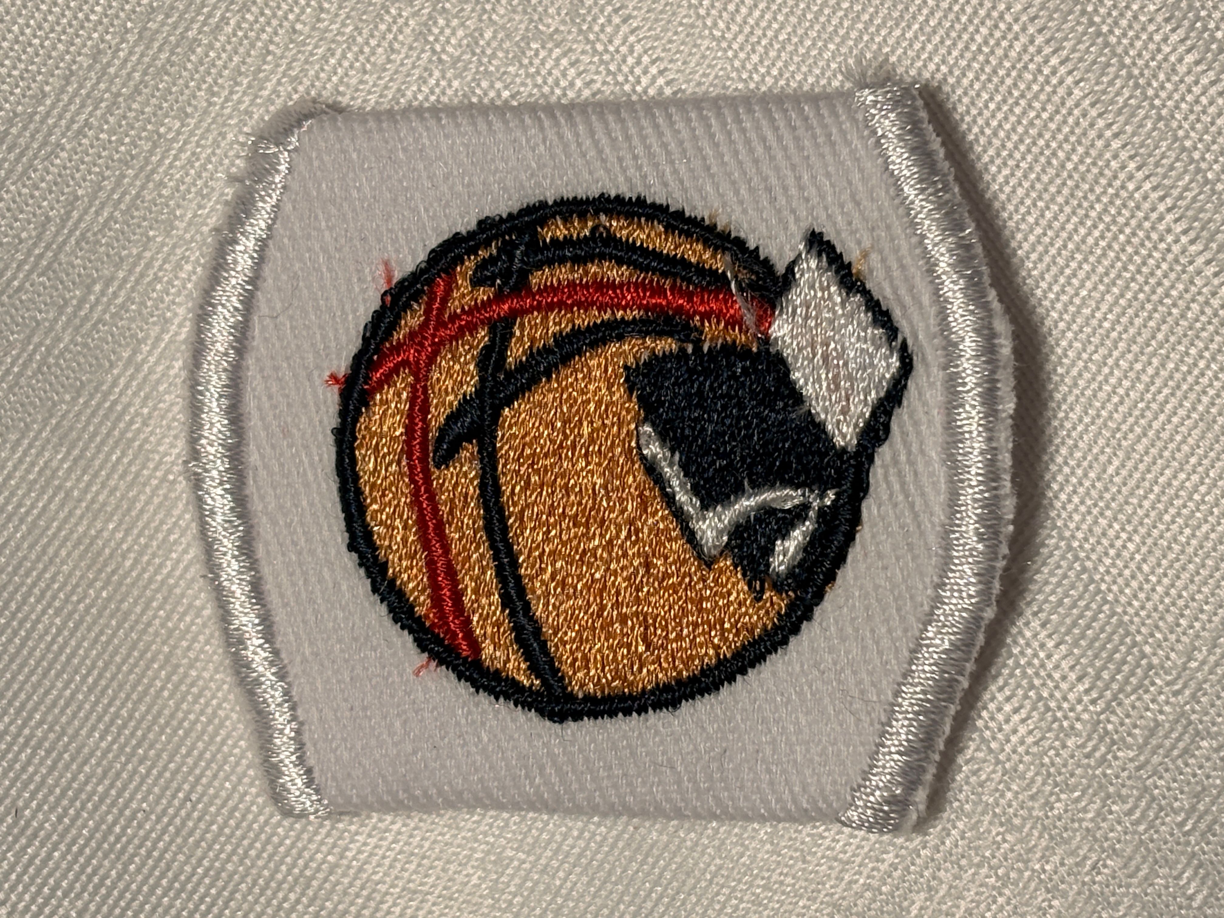 Ambassador Cloth Woggle