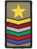 PF MG Combined Chevron